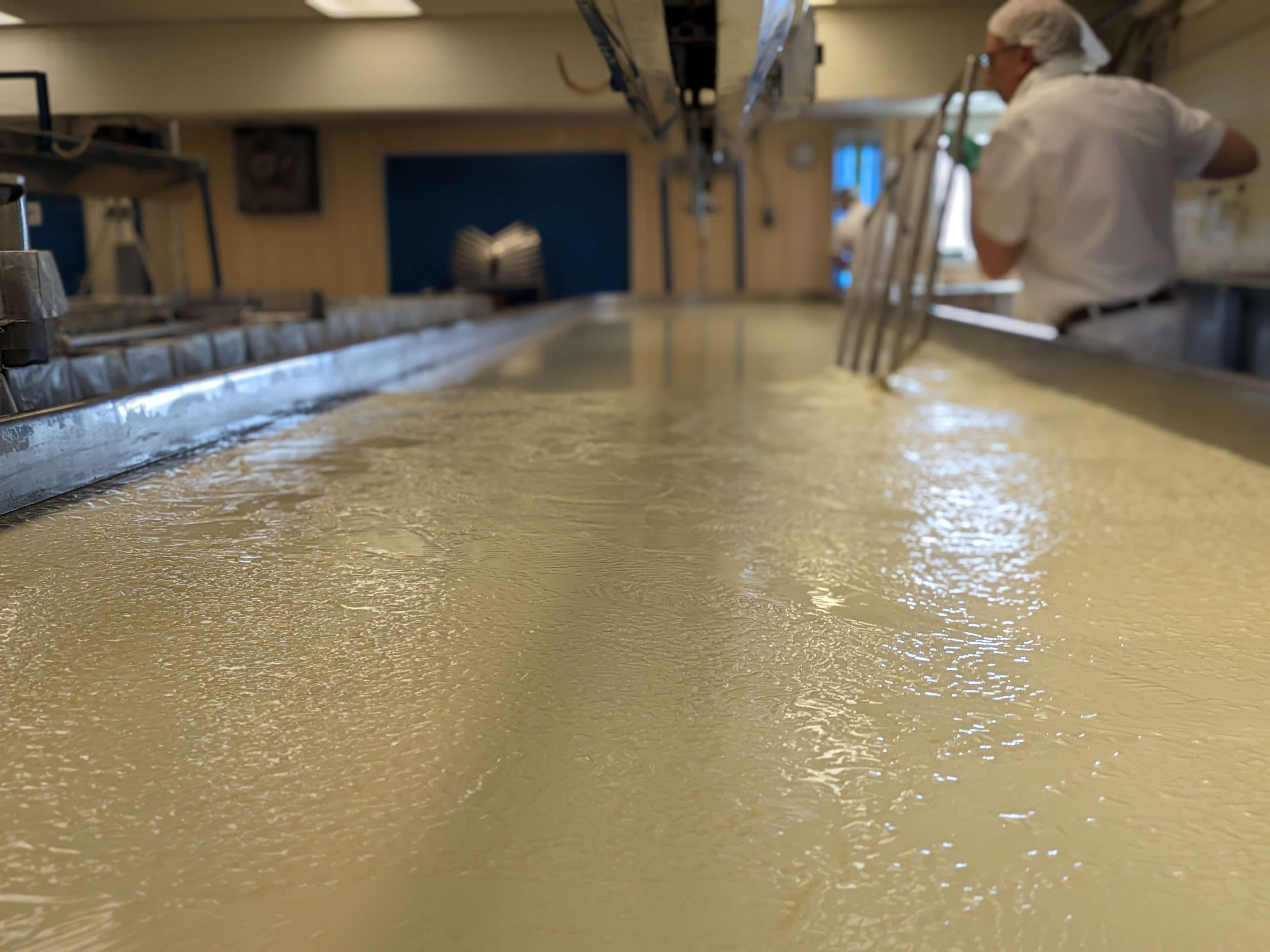 traditional cheese making with an open vat